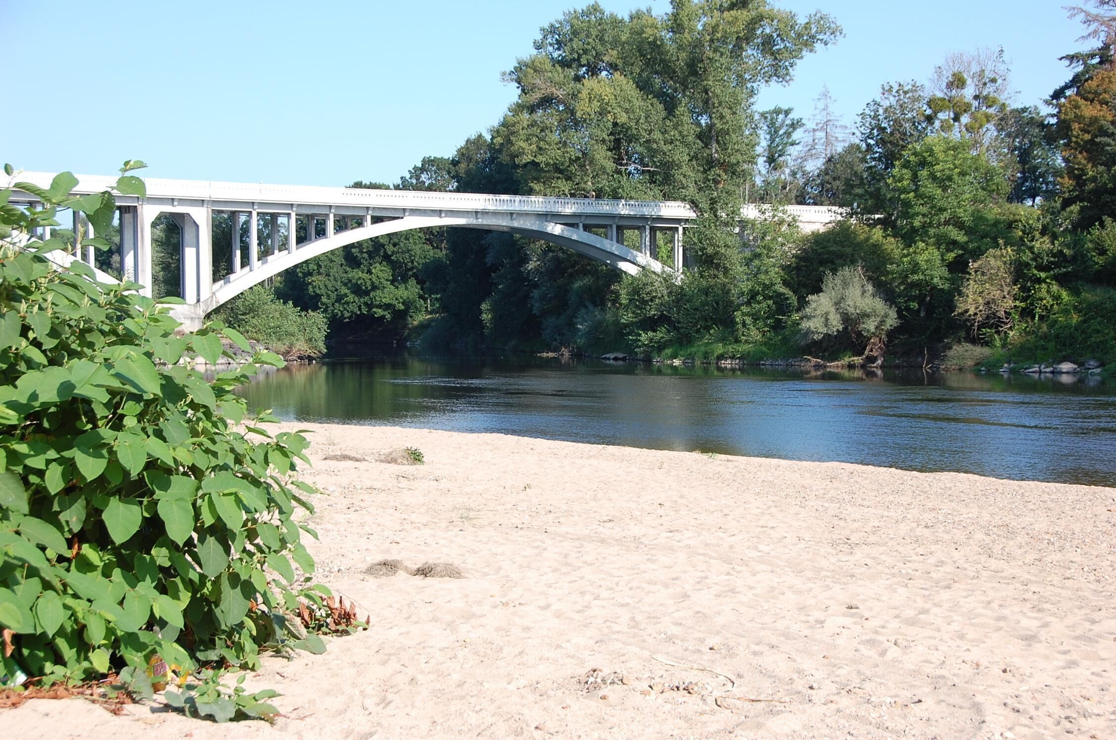 Een witte, gebogen brug over een rivier, omringd door dichte bomen en weelderige begroeiing.