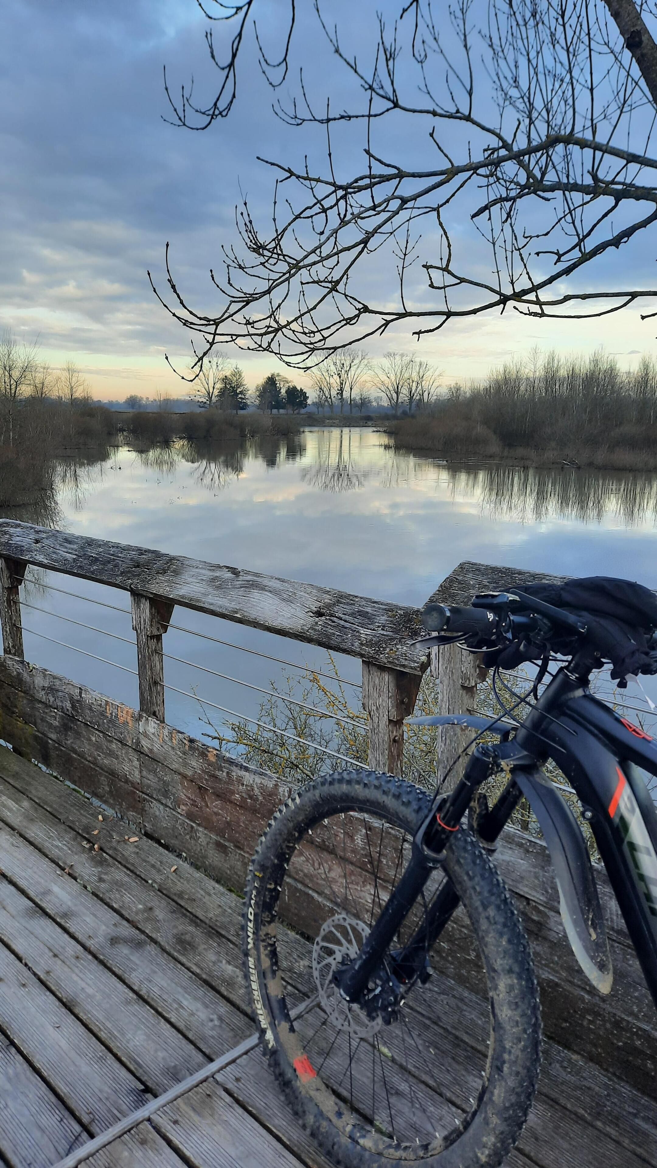 A wooden deck with a bicycle leaning against a metal railing overlooking a calm body of water.
