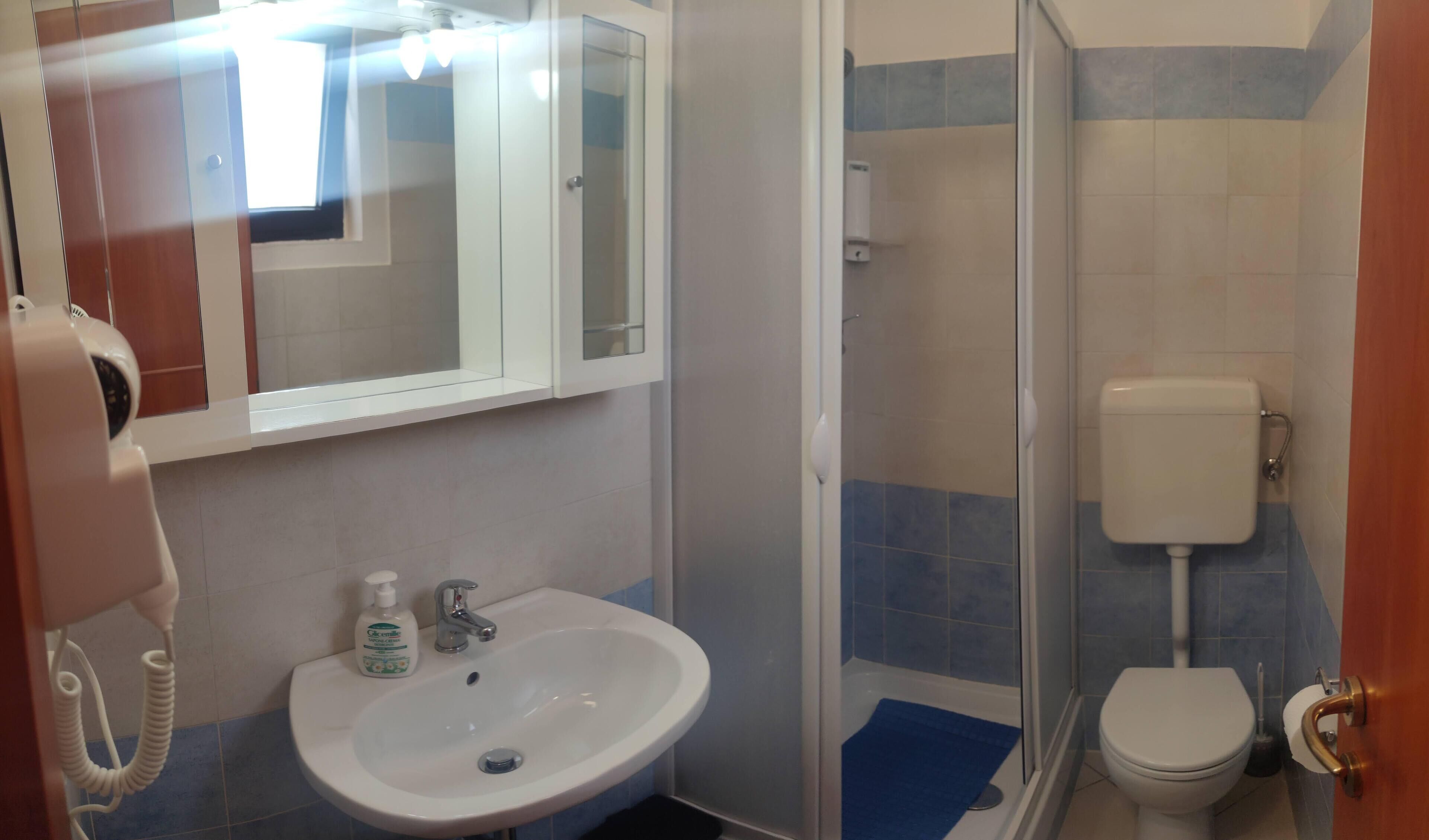 Un baño con lavamanos, espejo, inodoro y zona de ducha.