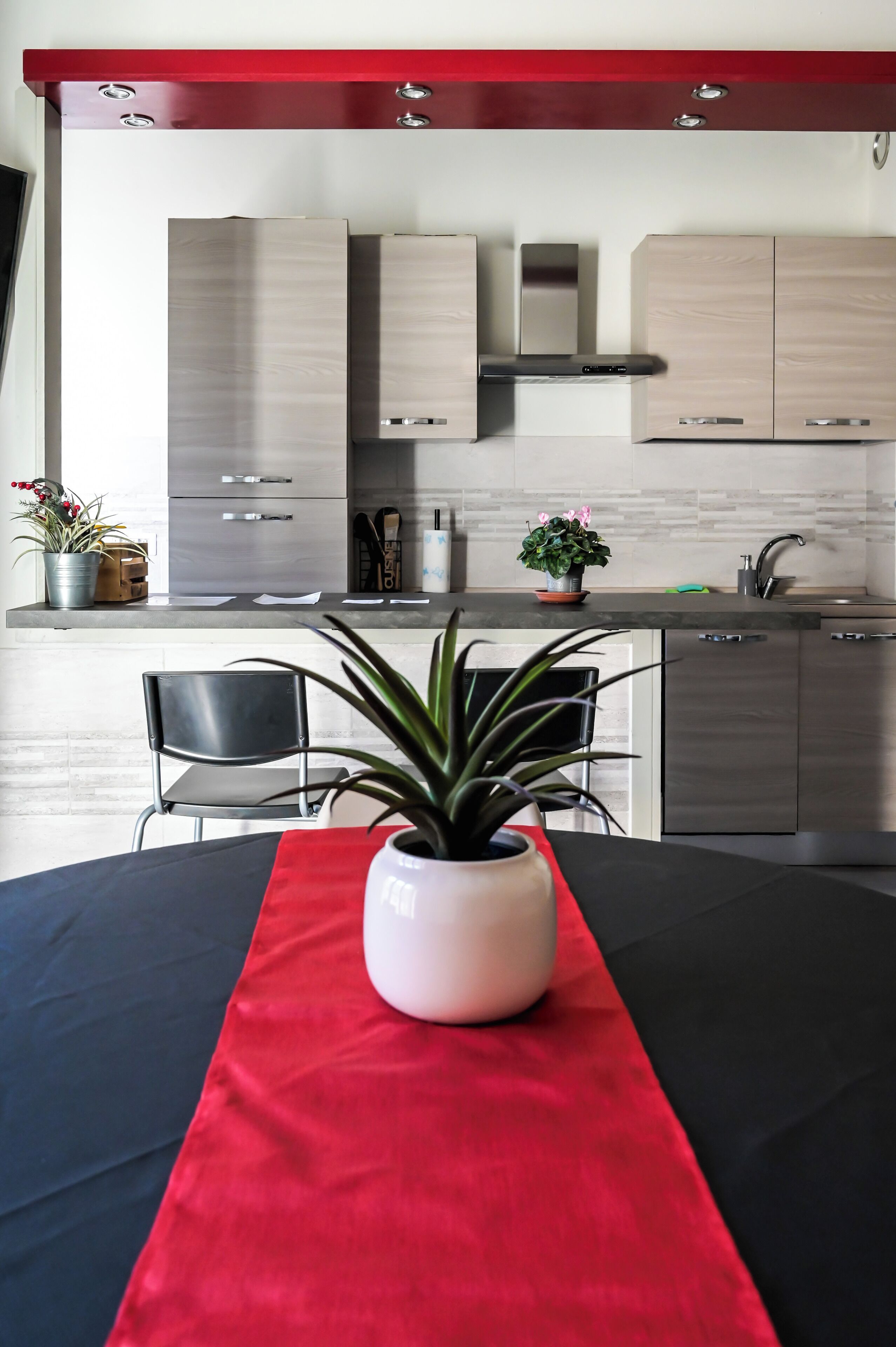 Microondas, horno, placa de cocina y lavavajillas