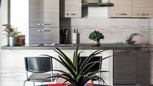 A modern kitchen with stainless steel appliances, a dining area with a red table runner, and a potted plant. - Very cozy apartment on the 3rd floor(with elevator) in downtown Cuneo (Cuneo)