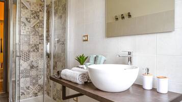 Ducha, secador de pelo, bidé y toallas