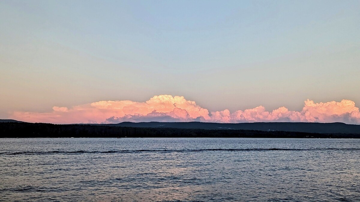 Imagen de perfil del propietario o de la propietaria