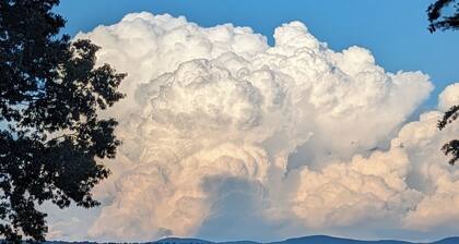 Serene Lake Home with 200' of lakefront in the backyard