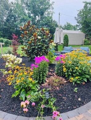 Property grounds - Pet friendly tiny house on 2+ acres in Big Sandy, Tennessee (Big Sandy)