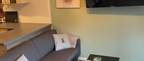 Smart TV, music library, stereo