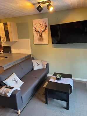 Smart TV, biblioteca musicale, impianto stereo