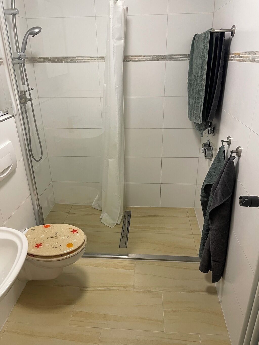 Douche, sèche-cheveux, serviettes fournies, savon