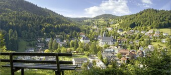 Vacation apartment Kirchblick