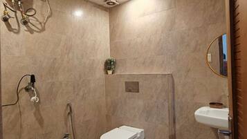 Shower, hair dryer, bidet, towels