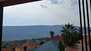Vista desde una ventana que da a una zona residencial con casas, palmeras y montañas al lejano.