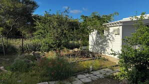 Property grounds - Garden Studio Retreat (Sint Michiel)