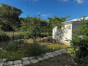 Property grounds - Garden Studio Retreat (Sint Michiel)