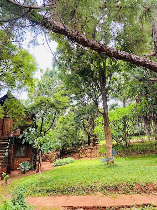 Áreas de la propiedad