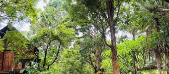 딘스힐스뷰로지  