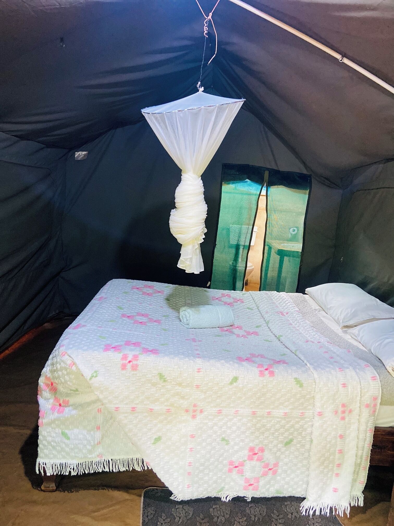 A tent with a bed, a mosquito net, and a green door.