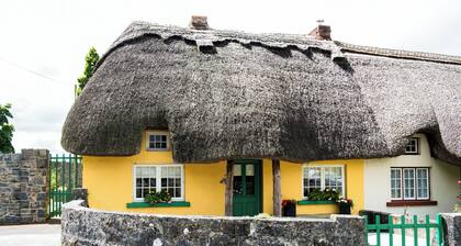 Beautiful 200 year old thatched cottage in the picturesque village of Adare