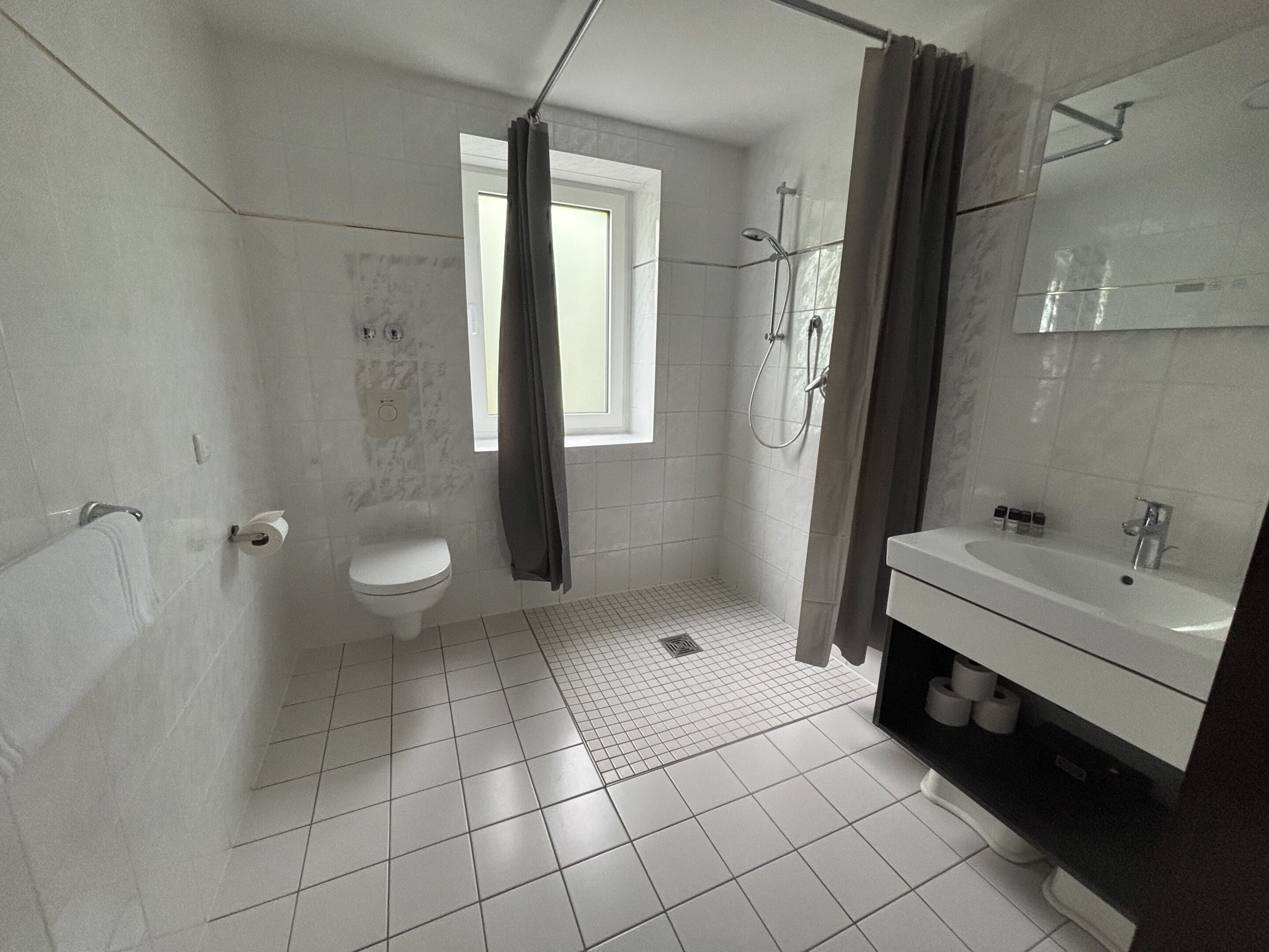 Ein Badezimmer mit Toilette, Dusche und Waschbecken.
