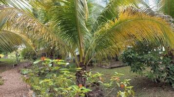 Jardines del alojamiento