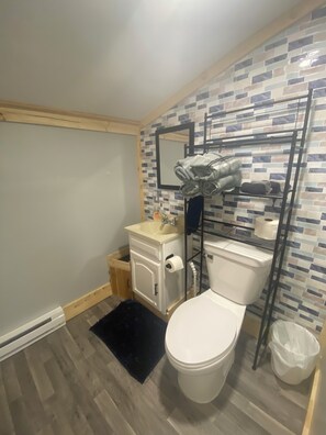 Bathroom - Adorable 2 bedroom cabin  with AC  and heat in beautiful  mesick mi (Mesick)