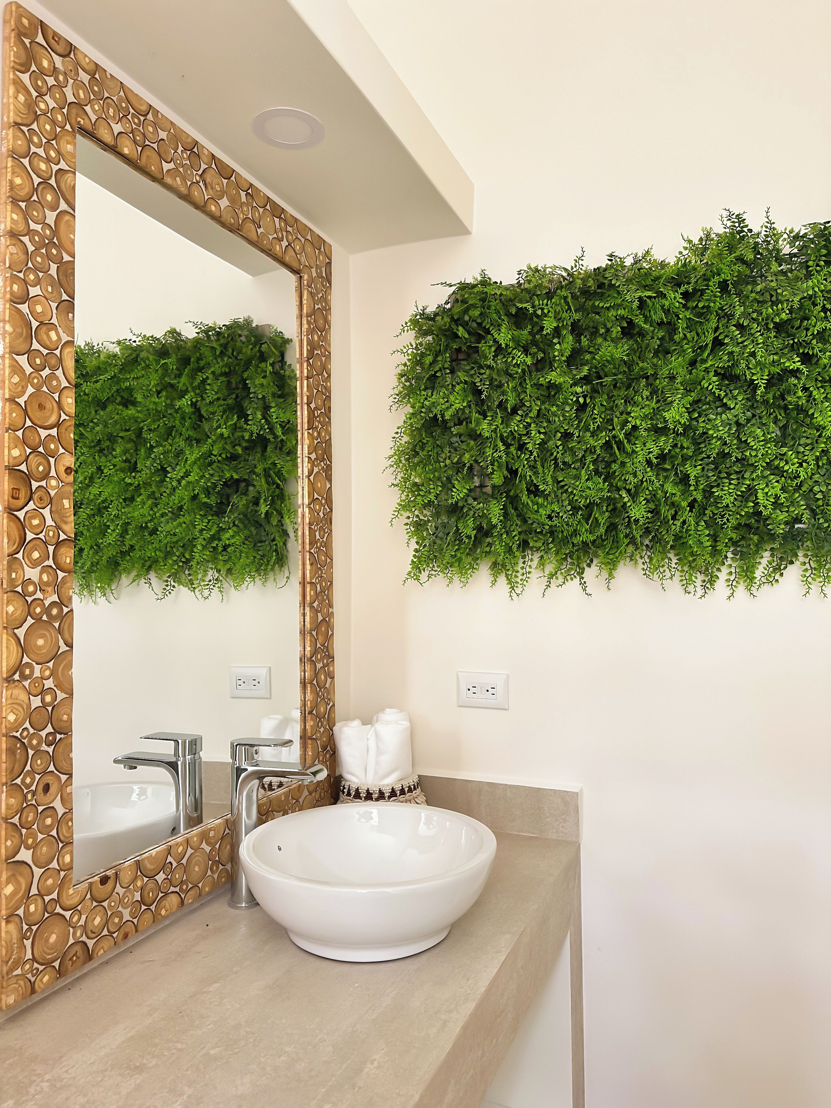 A bathroom with a white sink, two faucets, a mirror with a wooden frame, and a wall-mounted green plant.