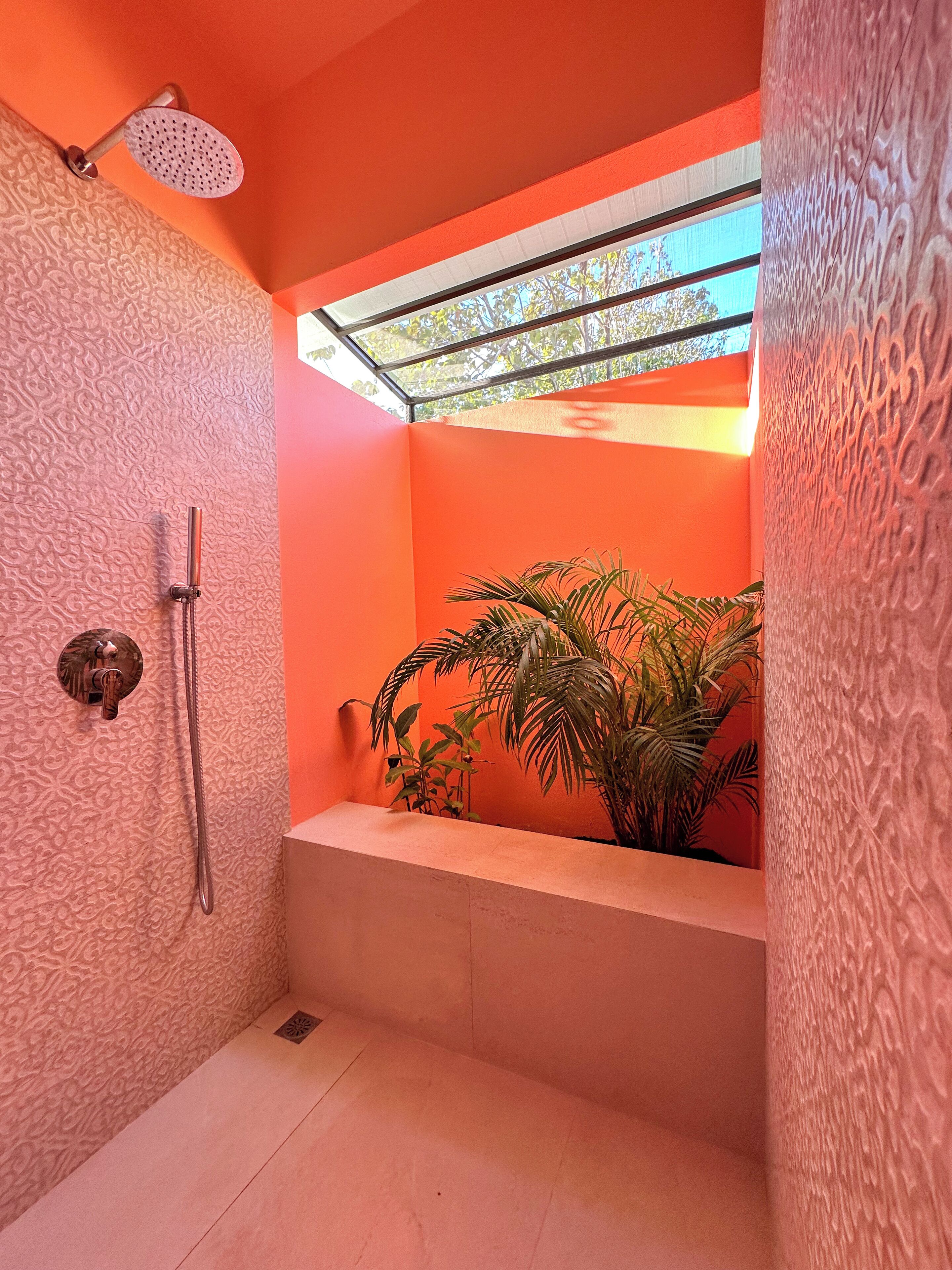 A bathroom with a shower, a sink, and a plant.