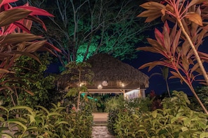 Property grounds - Evolution (Tamarindo)