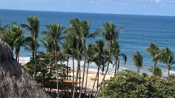 Ein Strand mit Palmen und einer Struktur mit Reetdach.