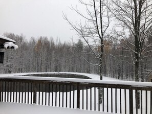 Property grounds - Classic 3 +bedroom house with sun deck, pond, brook on 11 acres in Catskills (West Kill)