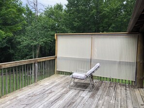 Property grounds - Classic 3 +bedroom house with sun deck, pond, brook on 11 acres in Catskills (West Kill)
