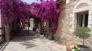 Un edificio de piedra con patio empedrado, una puerta de madera y una planta en maceta con flores blancas.