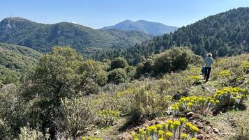 A hiker walking on a rocky path surrounded by yellow flowers and green vegetation.