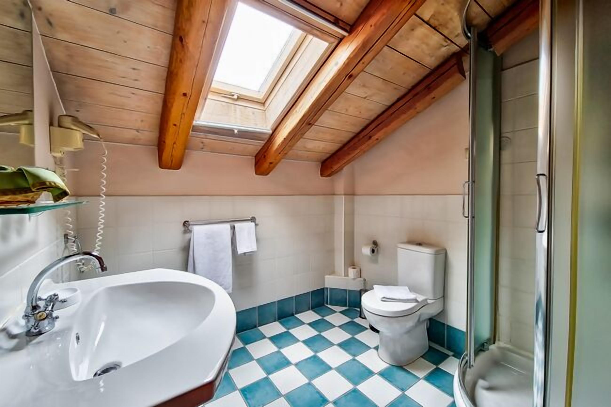 Une salle de bain avec un puits de lumière, un lavabo, des toilettes et une douche.