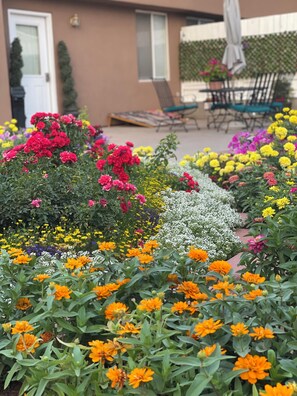 Property grounds - Unique & Luxury 4-Bed Retreat ‘Year-Round Gardens' (Colorado City)