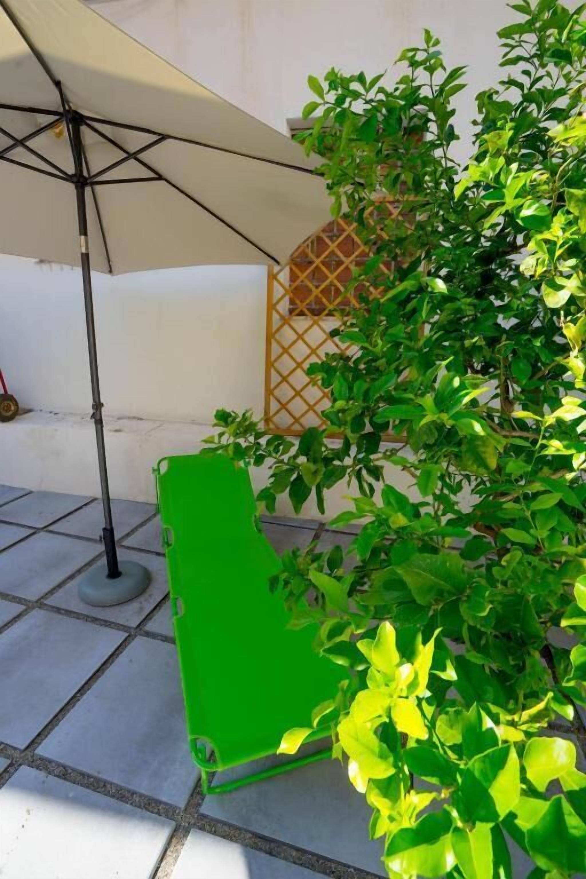 Apartamento clásico, patio, vistas al jardín | Jardines del alojamiento