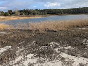 Miscellaneous - Primitive Off-Grid Fishing Cabin on 6 Acres of Florida springs lakefront (Chipley)
