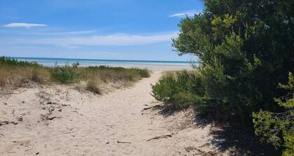 Pet Friendly Beach House – 100m to Rosebud Beach
