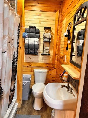 Regadera, secadora de cabello, toallas, jabón