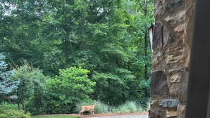 Un sendero de piedra que lleva a una casa con un muro de piedra y un ciervo al fondo.