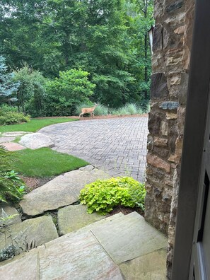 Property grounds - 2-bedroom apartment in amazing Marietta with AC and comfort (Marietta)