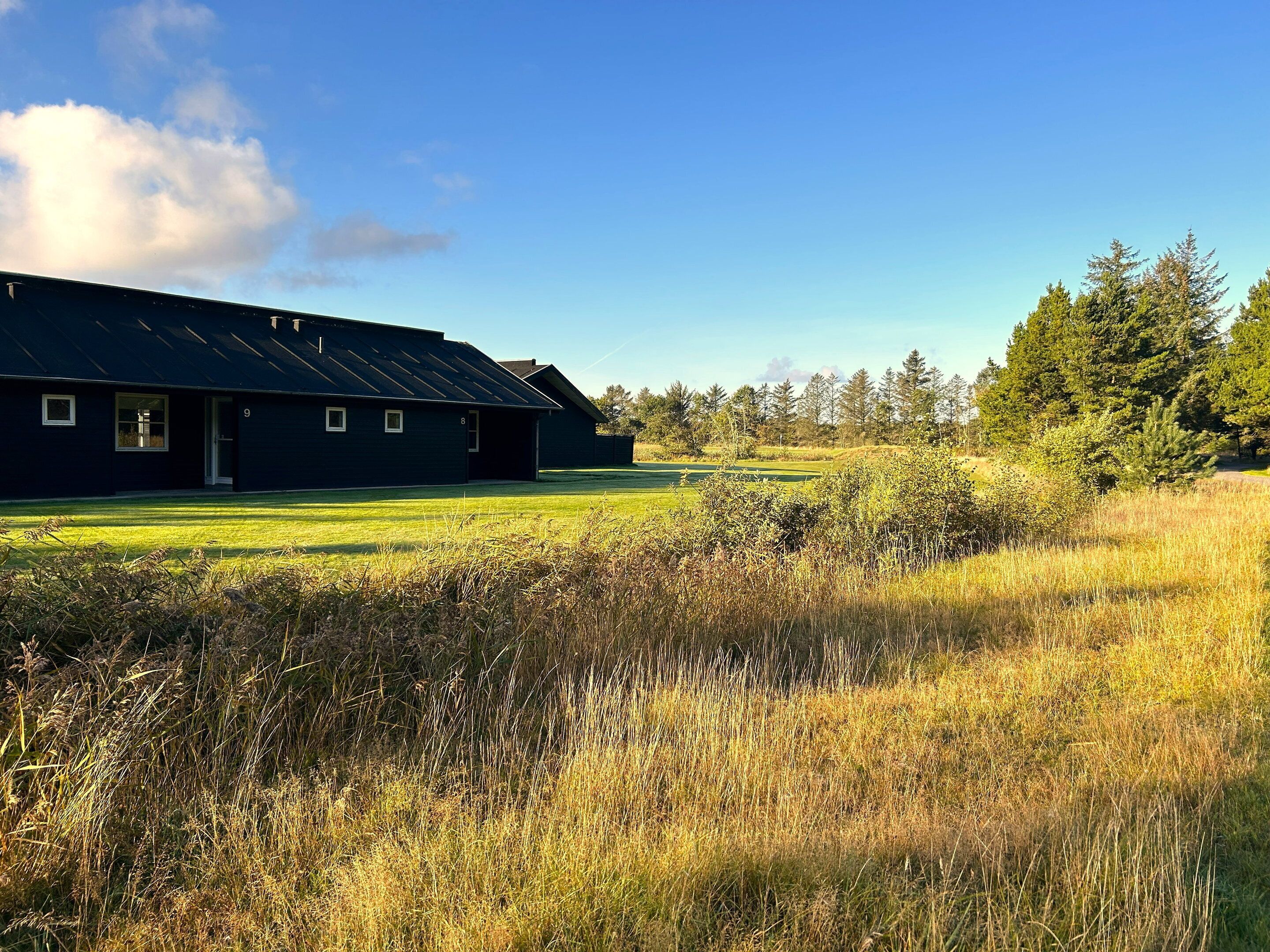 Udendørsområde