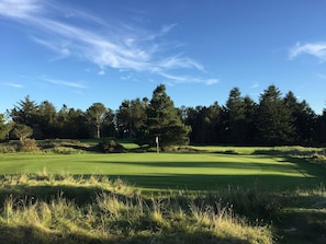 Campo de golf con bandera, árboles y cielo despejado.