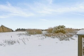 A snow-covered field with sparse vegetation and a clear sky. - Holiday apartment near sea beach and golf (Pandrup)