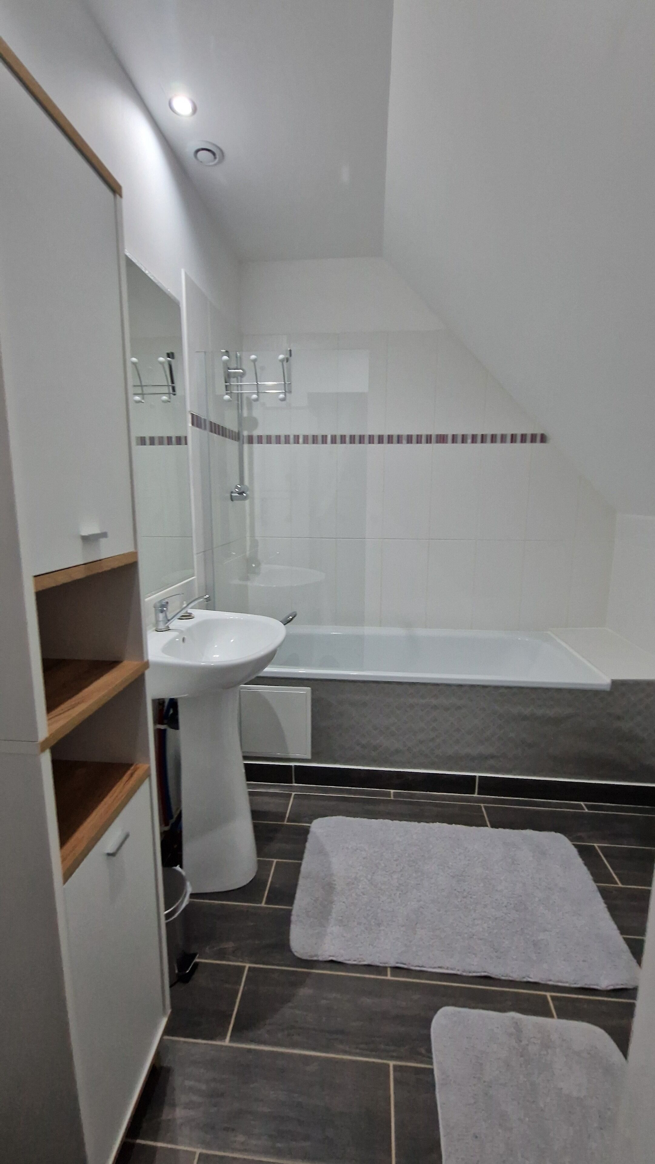 Regadera, secadora de cabello, toallas, papel de baño 