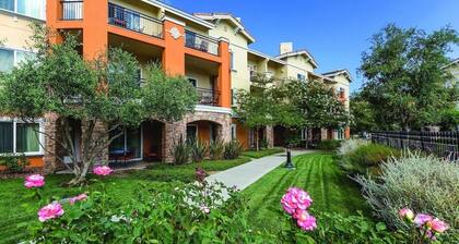 Available for Super Bowl Weekend! 1:15-hour drive from Santa Clara.