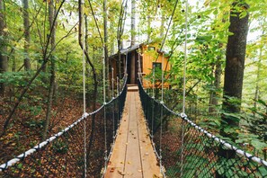 A wooden suspension bridge in a forest with a cabin at the end.