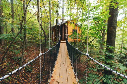 Parke's Stand- Treehouse