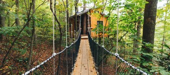 Parke's Stand- Treehouse