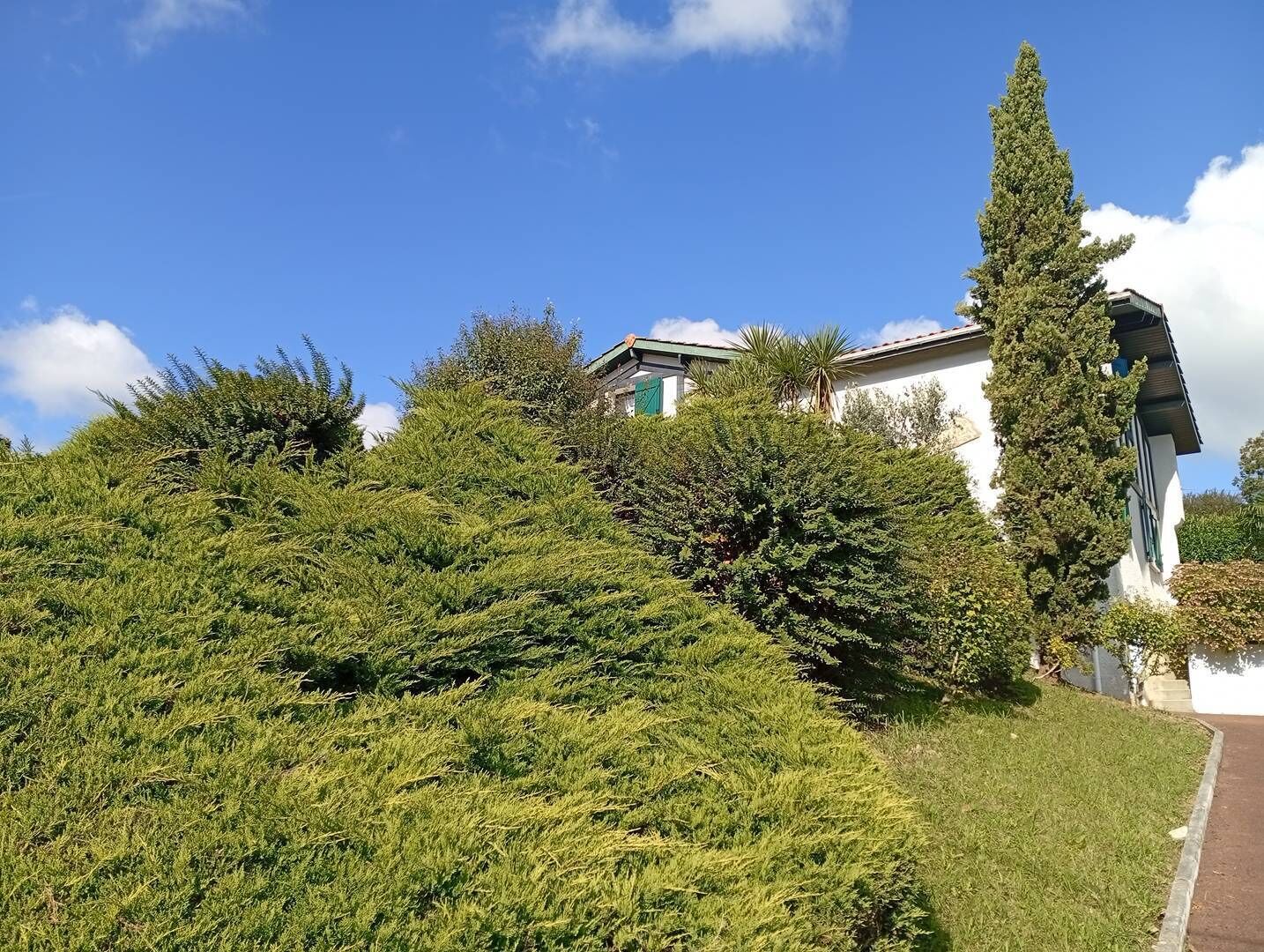 Àrea exterior de l'allotjament