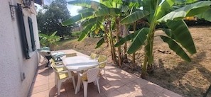 Eine Terrasse im Freien mit Tisch und Stühlen, umgeben von Bananenpflanzen.